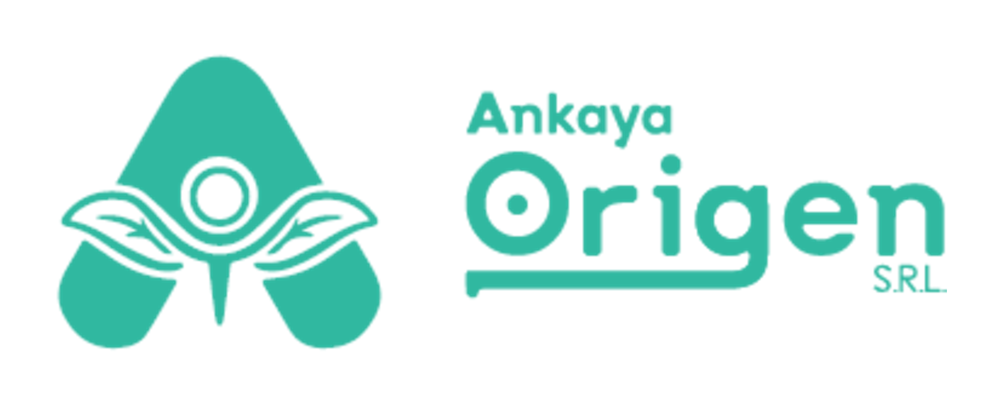 Ankaya Origen