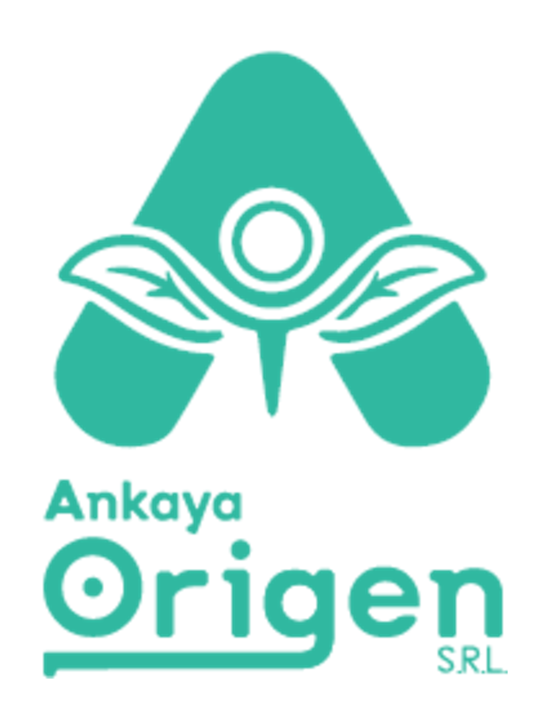 Ankaya Origen S.R.L.